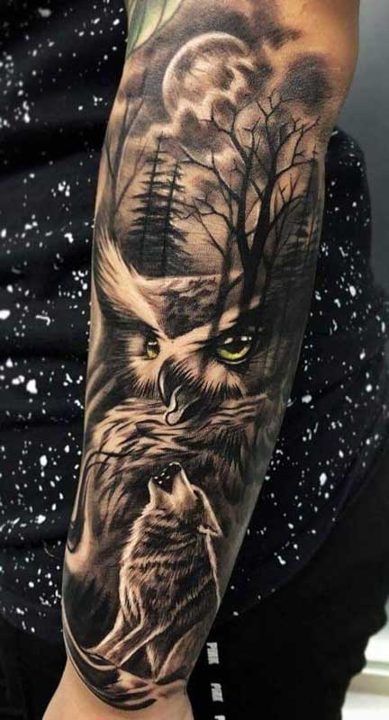 Owl in the forest